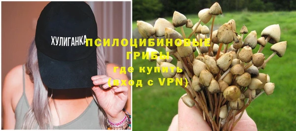 гашик Лиски