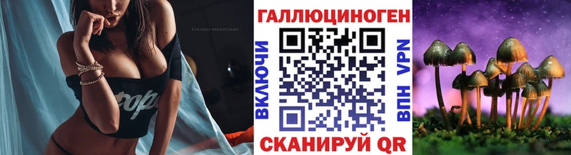 закладки  Хадыженск  OMG сайт  Галлюциногенные грибы мицелий 
